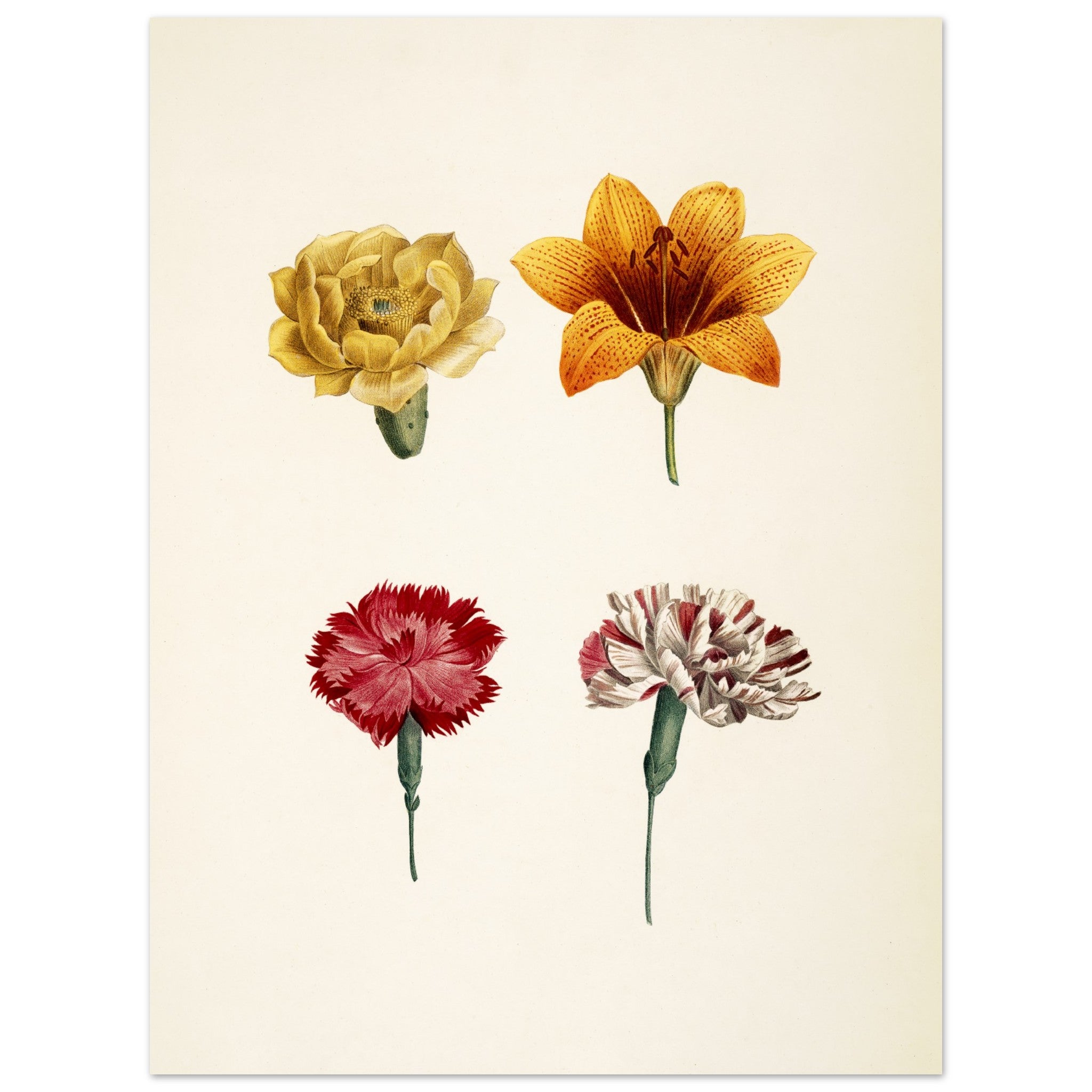 Classic Matte Paper Poster THE DYBDAHL CO. US