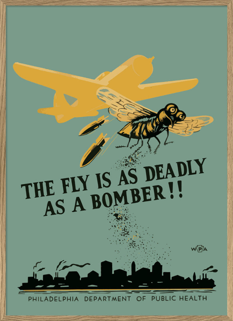 The fly is as deadly as a bomber!!