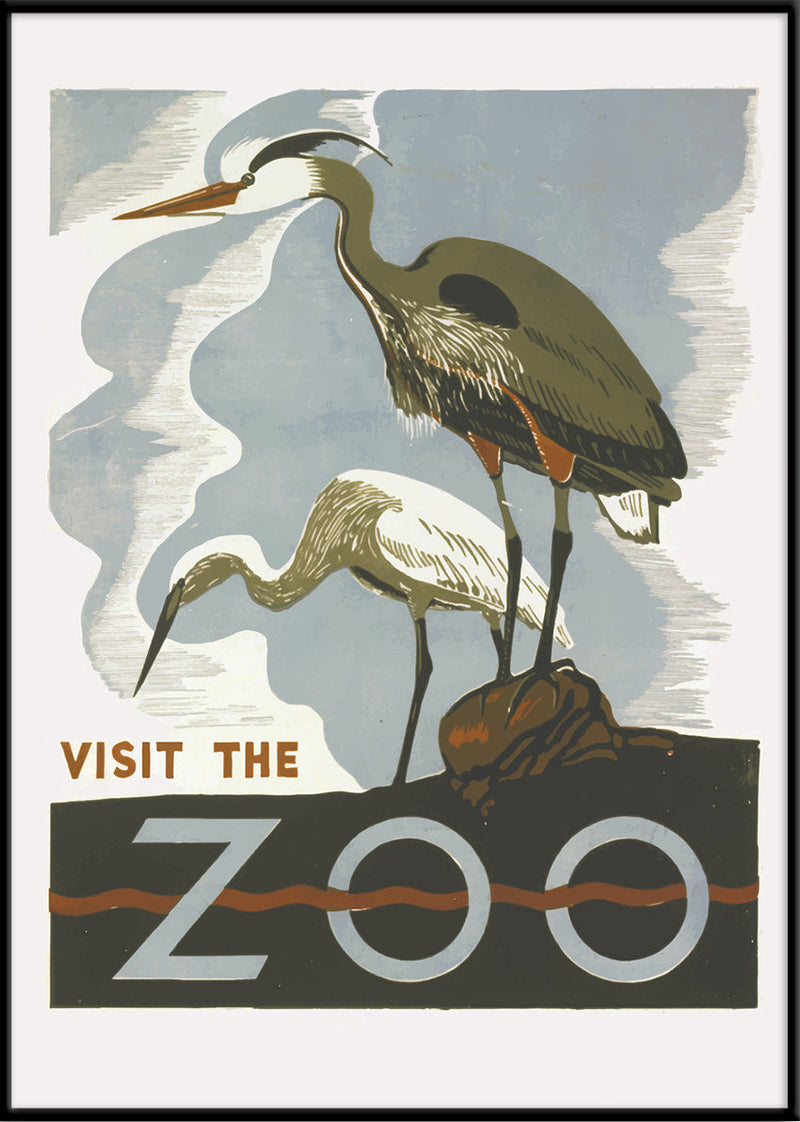 Visit the Zoo