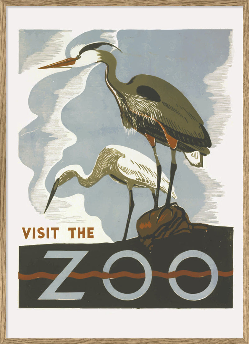 Visit the Zoo