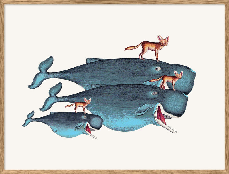 Whales and Desert Foxes