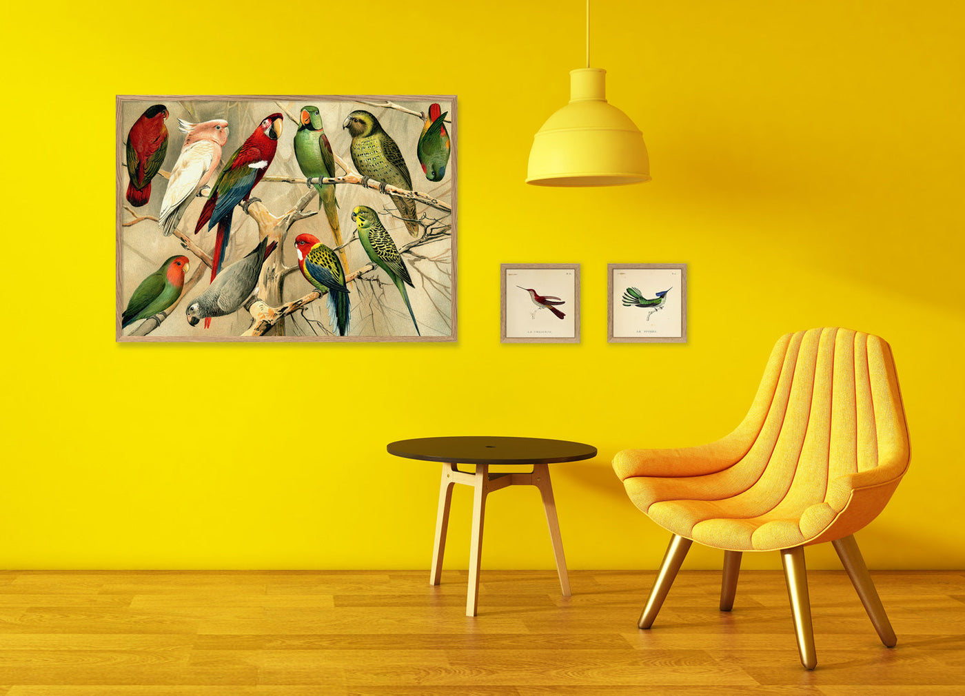 Parrots Horizontal – THE DYBDAHL CO. US