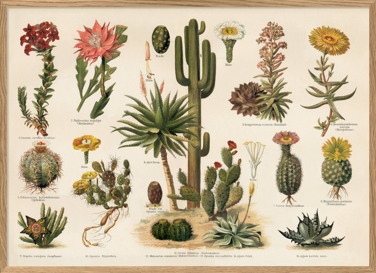 2927H-Oak-Web_1200x.jpg?v=