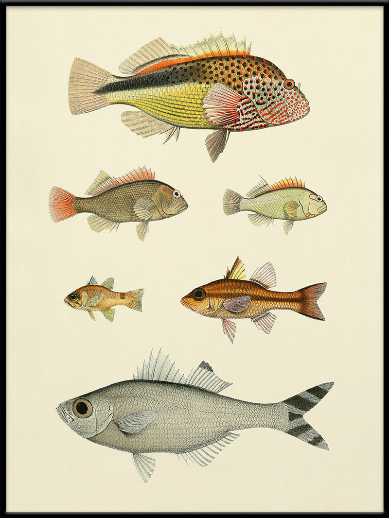 Fishes