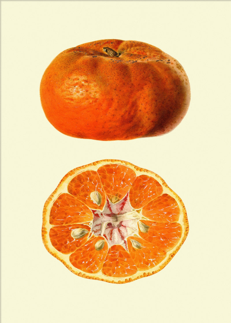 Mandarin