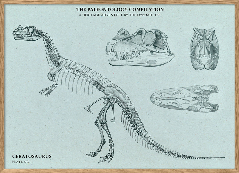 Ceratosaurus