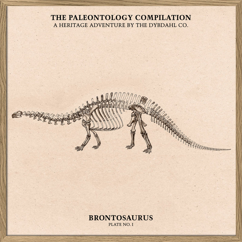 Brontosaurus