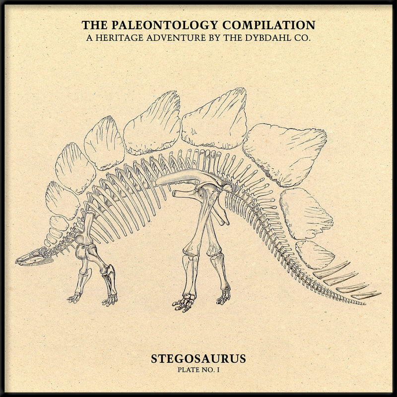 Stegosaurus