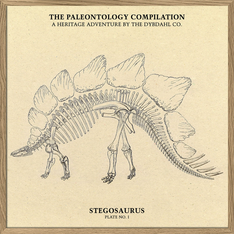 Stegosaurus