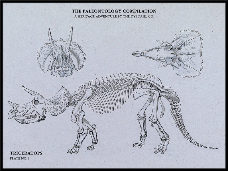 Triceratops Compilation