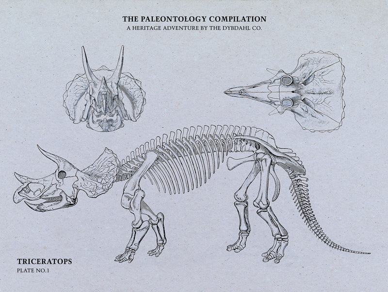 Triceratops Compilation