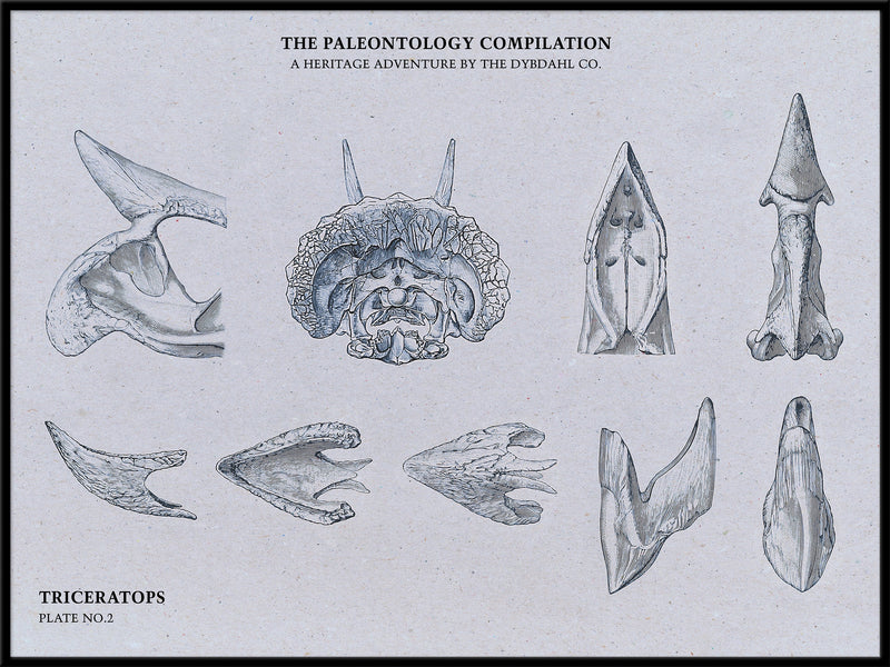 Triceratops Bones Compilation