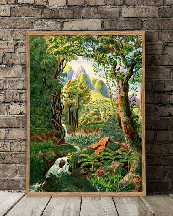 Jungle Scenery