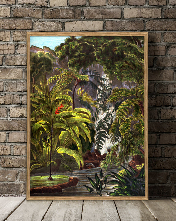 Jungle Scenery