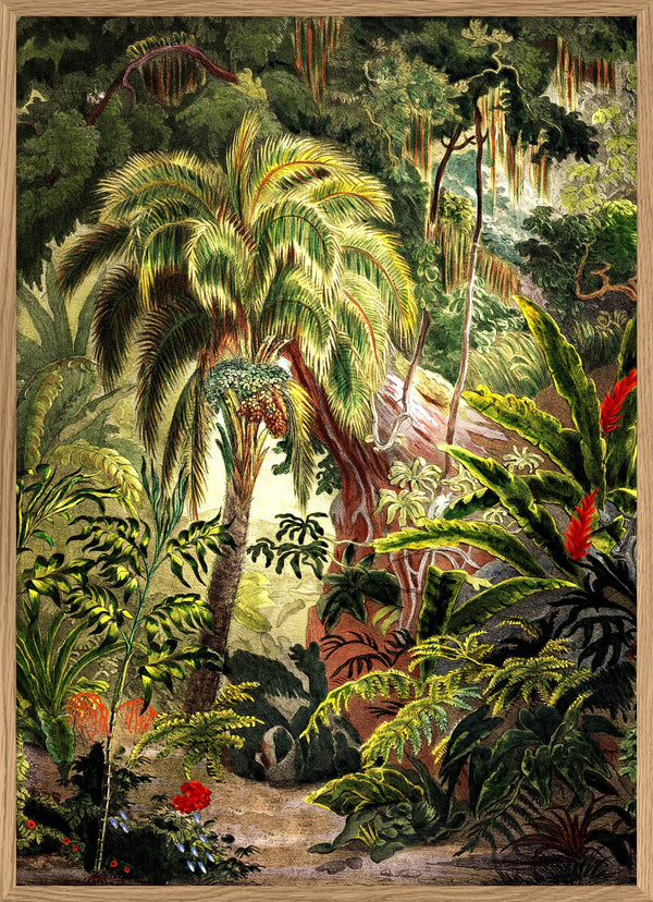 Jungle Scenery