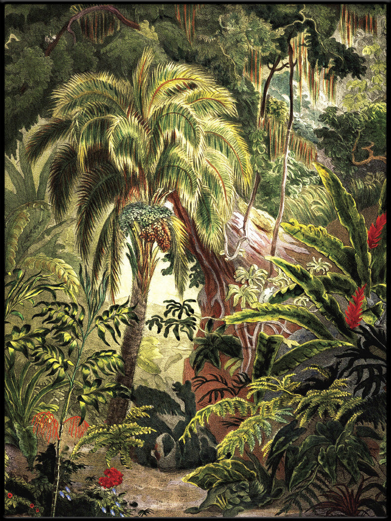 Jungle Scenery