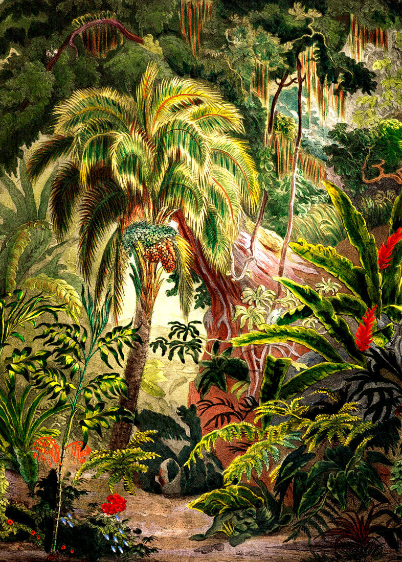 Jungle Scenery