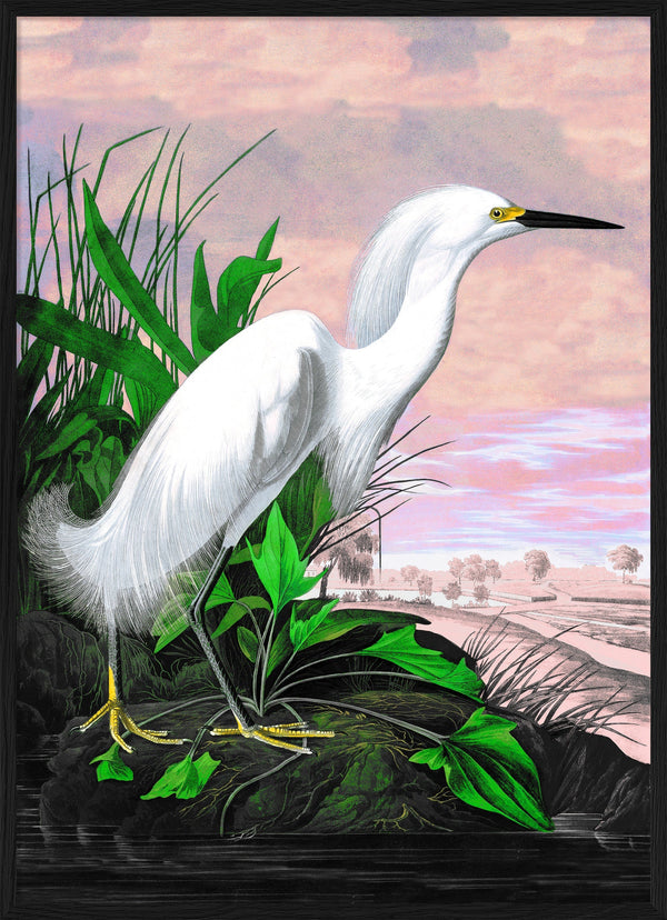 Snowy Heron Remixed