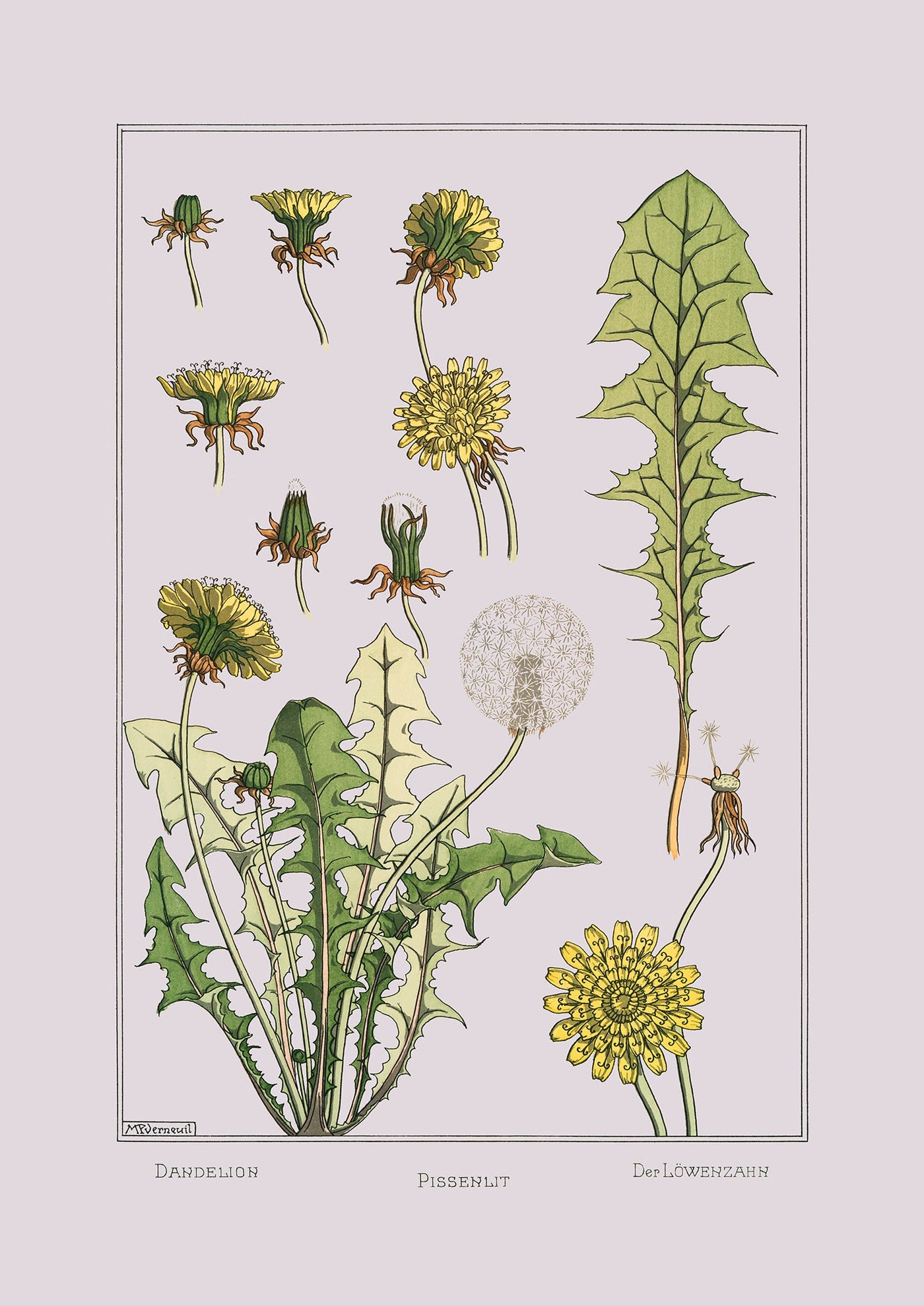 7610_1400x.jpg?v=1738328113