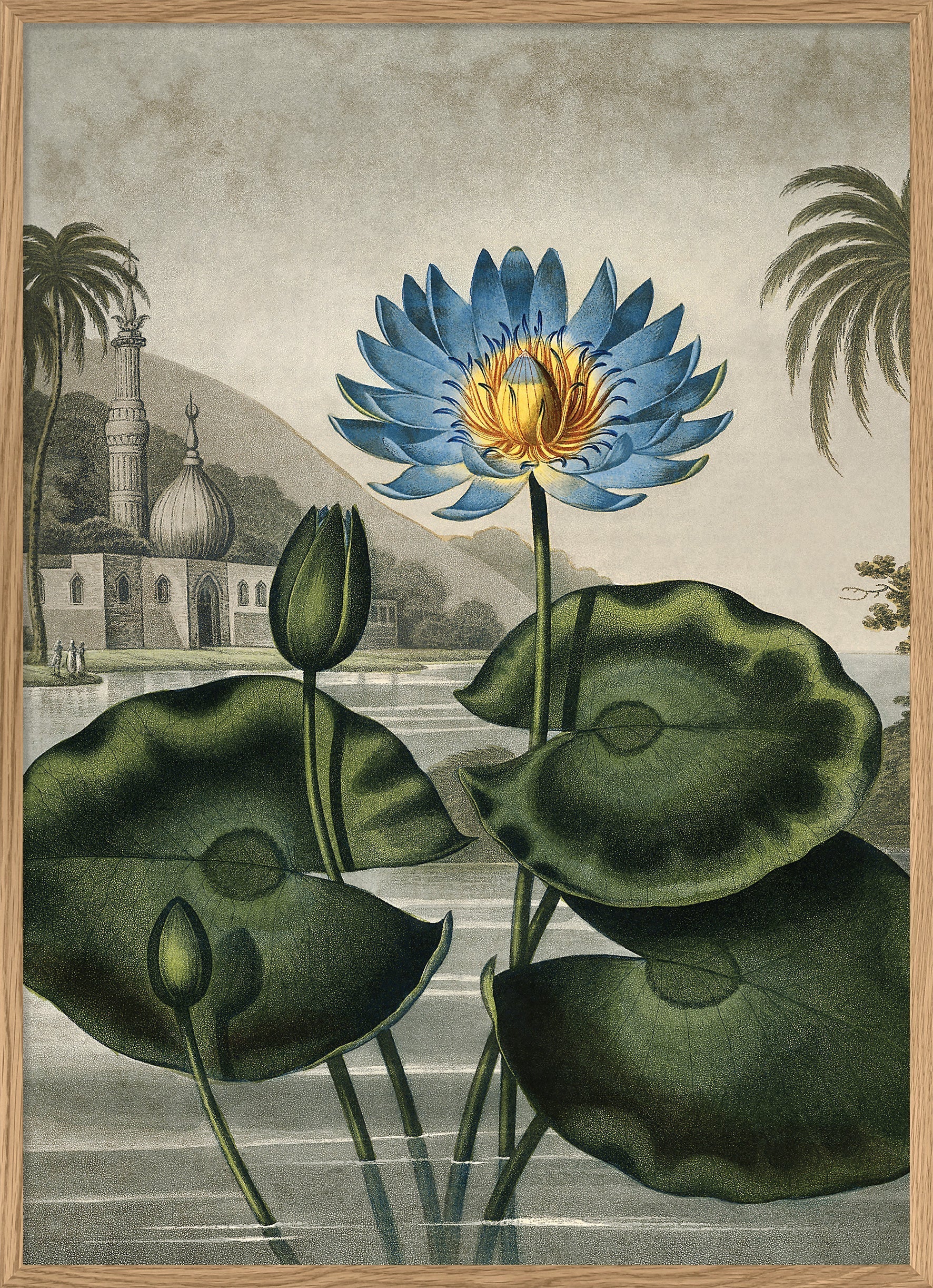 The Temple of Flora (sub. Botany) – THE DYBDAHL CO. US