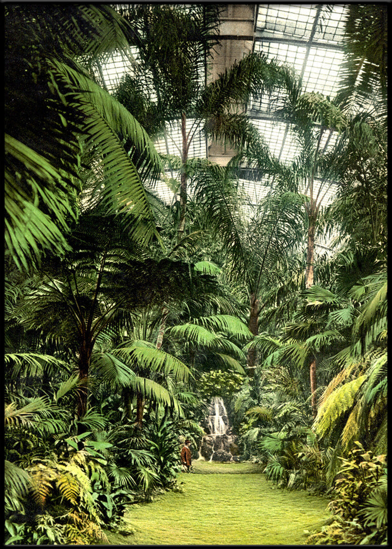 Palm House Frankfurt am Main