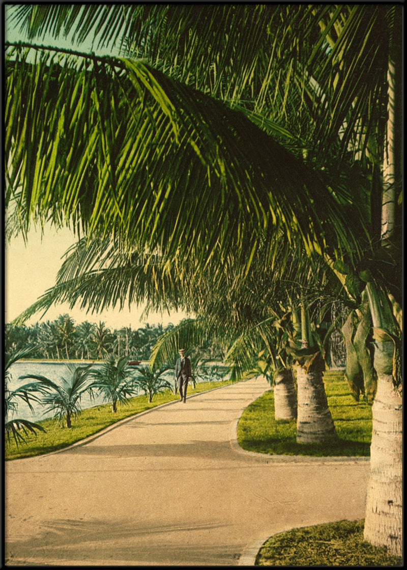 The Walk at Palm Beach